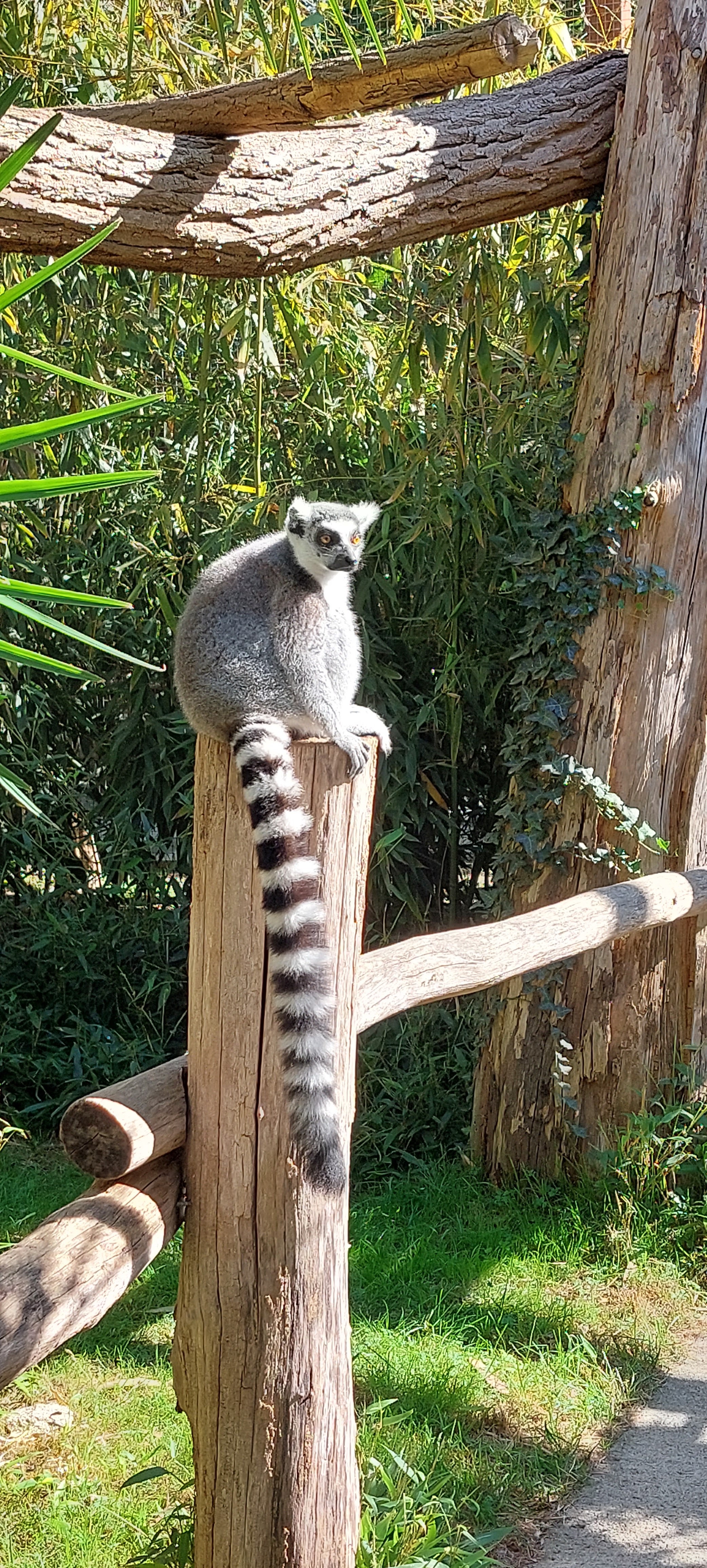 Photo n° 15 de l'avis de nathalie.E fait le 08/10/2023 à 08:49