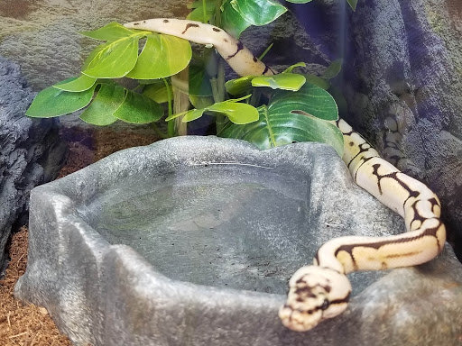 Pet Supply Store «Petco Animal Supplies», reviews and photos, 6137 Mid Rivers Mall Dr, St Charles, MO 63304, USA