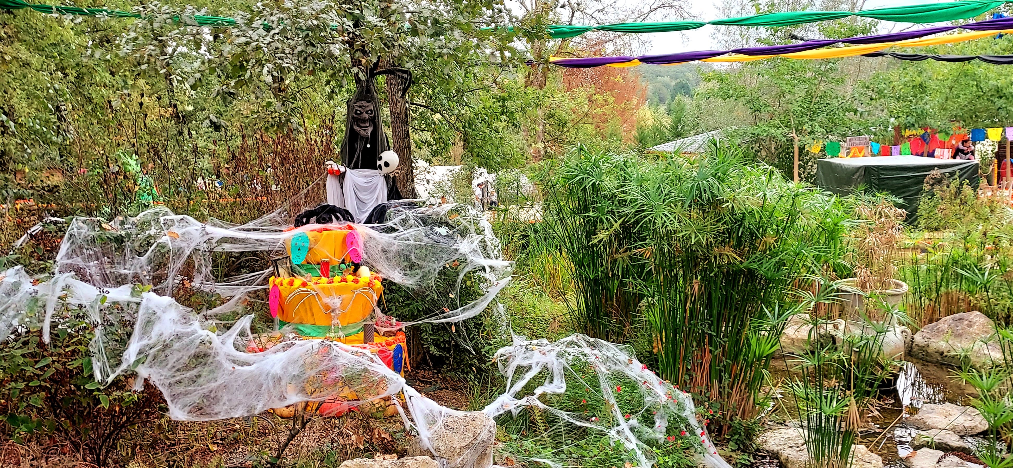 Photo n° 3 de l'avis de Patricia.e fait le 27/10/2022 à 22:10