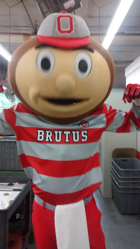 Sporting Goods Store «Wilson Sporting Goods Co», reviews and photos, 217 Liberty St, Ada, OH 45810, USA