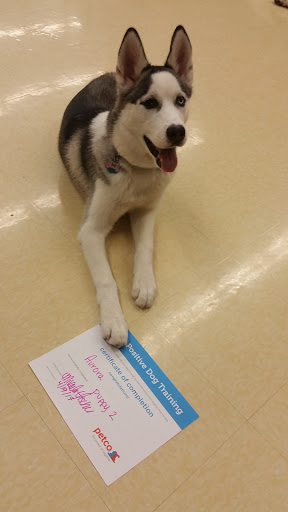 Pet Supply Store «Petco Animal Supplies», reviews and photos, 8551 S Howell Ave, Oak Creek, WI 53154, USA