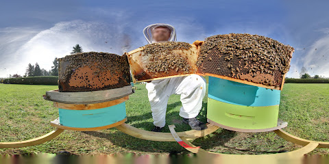 BC Buzz Honey Corporation & Honey Hut