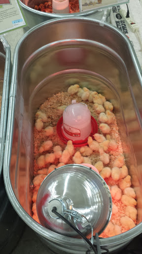 Home Improvement Store «Tractor Supply Co.», reviews and photos, 6015 S Transit Rd, Lockport, NY 14094, USA