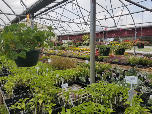 Greenhouse «Stiles Vegetable Farm and Greenhouse», reviews and photos, 11717 Sheridan Rd, Pleasant Prairie, WI 53158, USA