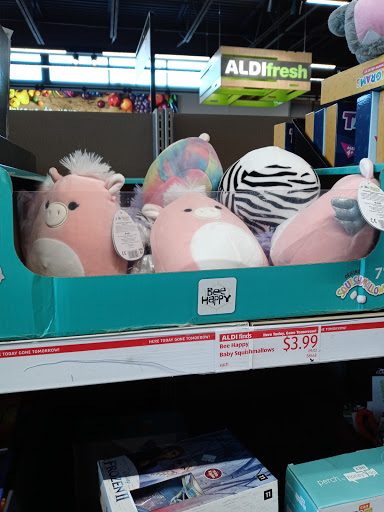 Supermarket «ALDI», reviews and photos, 302 Center St, Chardon, OH 44024, USA