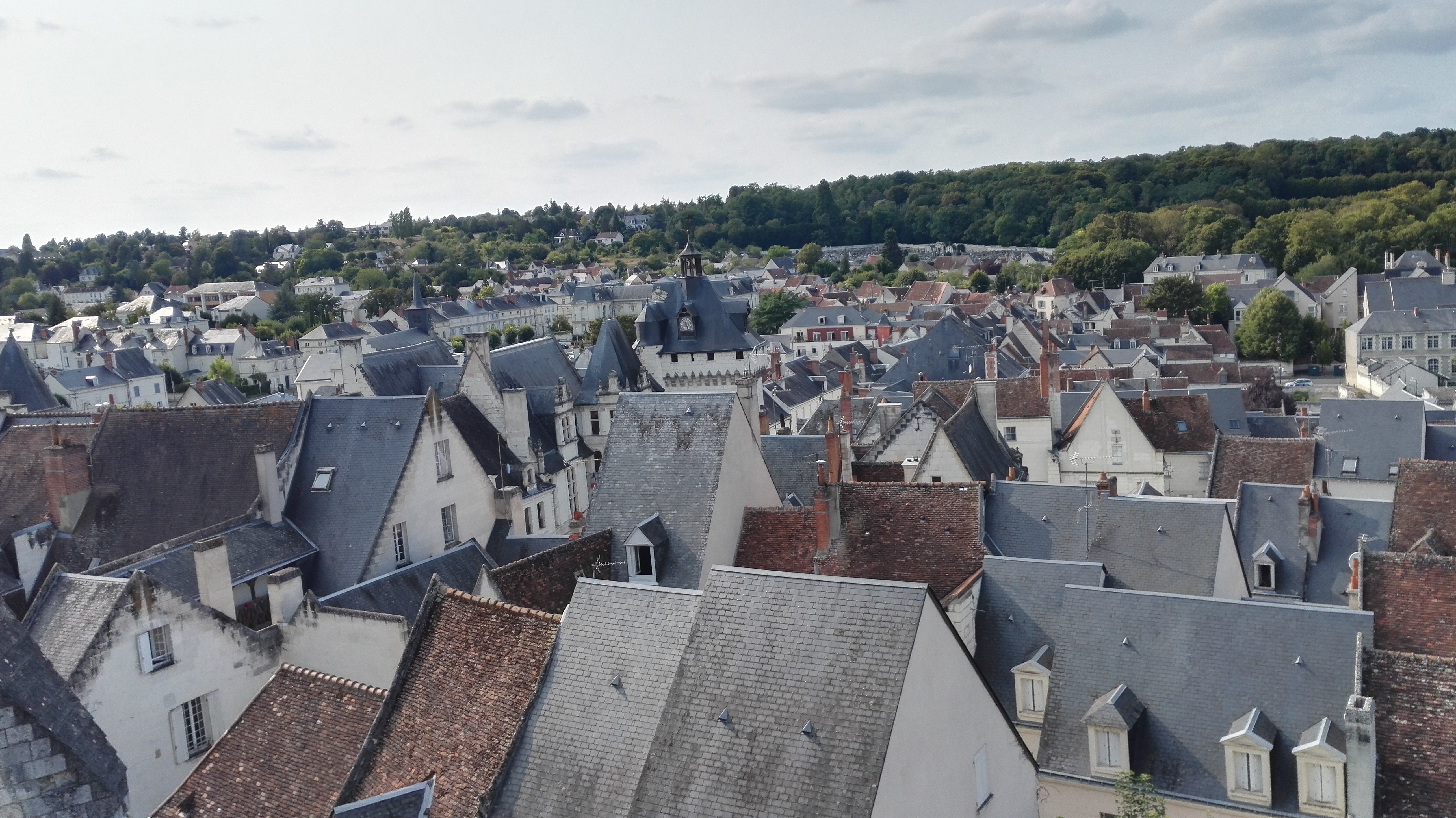 Photo n° 6 de l'avis de Dom.e fait le 31/08/2018 à 06:43