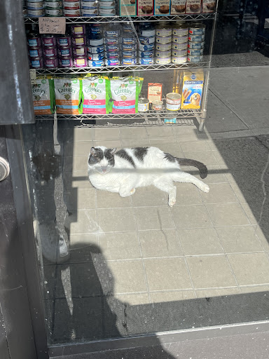 Pet Supply Store «Pet/Dog Delight», reviews and photos, 756 3rd Ave, Brooklyn, NY 11232, USA