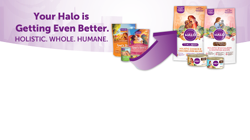 Pet Supply Store «Halo, Purely For Pets», reviews and photos, 12400 Race Track Rd, Tampa, FL 33626, USA