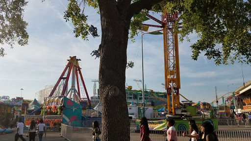 American Football Field «EverBank Field», reviews and photos, 1 Everbank Field Dr, Jacksonville, FL 32202, USA