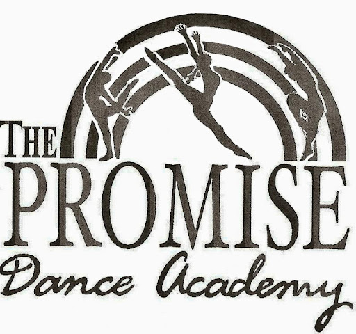 Dance School «Promise Dance Academy Inc», reviews and photos, 113 W Joliet St, Crown Point, IN 46307, USA