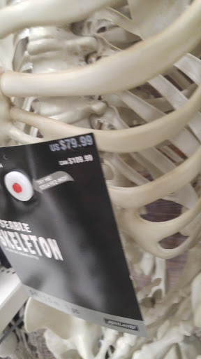 Craft Store «Michaels», reviews and photos, 10352 E US Hwy 36, Avon, IN 46123, USA