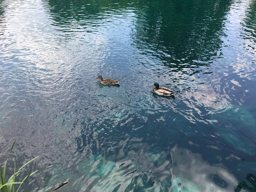 Park «Eden Park», reviews and photos, 950 Eden Park Dr, Cincinnati, OH 45202, USA