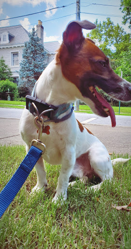 Park «Thrasher Park», reviews and photos, 93 Park Dr, Norcross, GA 30071, USA