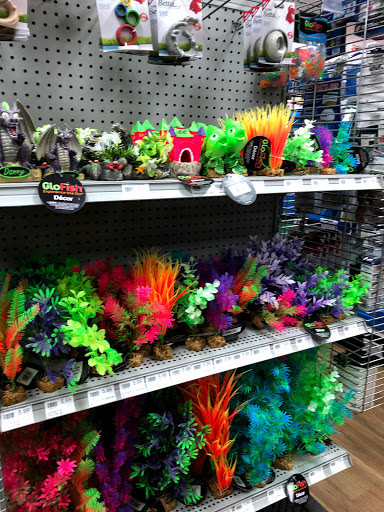 Pet Store «Petland», reviews and photos, 415 Mary Esther Cut Off NW G, Fort Walton Beach, FL 32548, USA