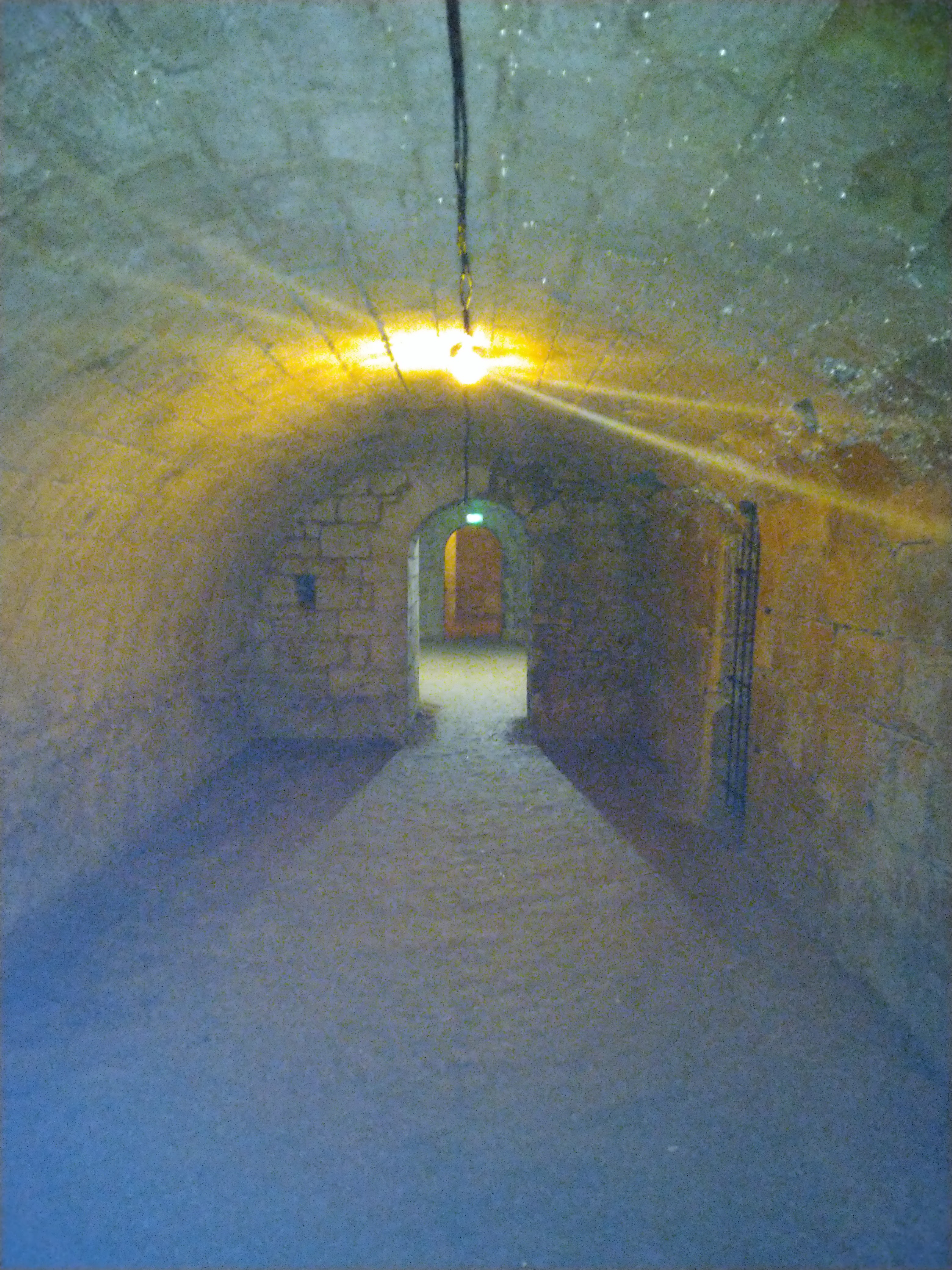 Photo n° 19 de l'avis de Queen.e fait le 18/08/2023 à 14:49