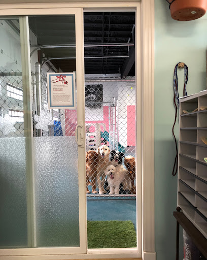 Pet Groomer «Tres Chic Pet Boutique & Le Spaw Grooming», reviews and photos, 660 Persons St, East Aurora, NY 14052, USA