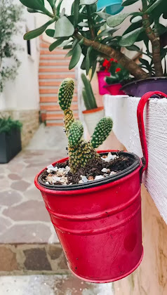 Vidéos Bed & Breakfast Le Falesie B 04024 Gaeta