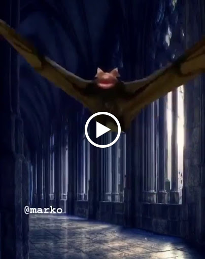 Liquor Store «Metro Liquor Warehouse», reviews and photos, 854 E 7th St, St Paul, MN 55106, USA