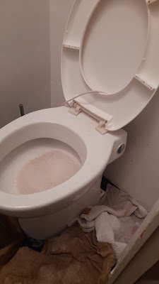 Débouchage WC & Canalisations Agir Bordeaux à Bordeaux