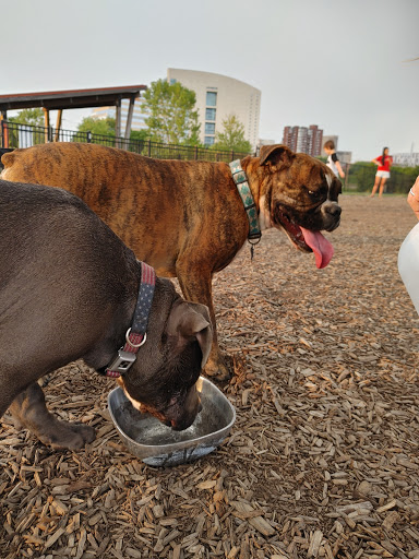 Park «Scioto Audubon Metro Park.», reviews and photos, 400 W Whittier St, Columbus, OH 43215, USA