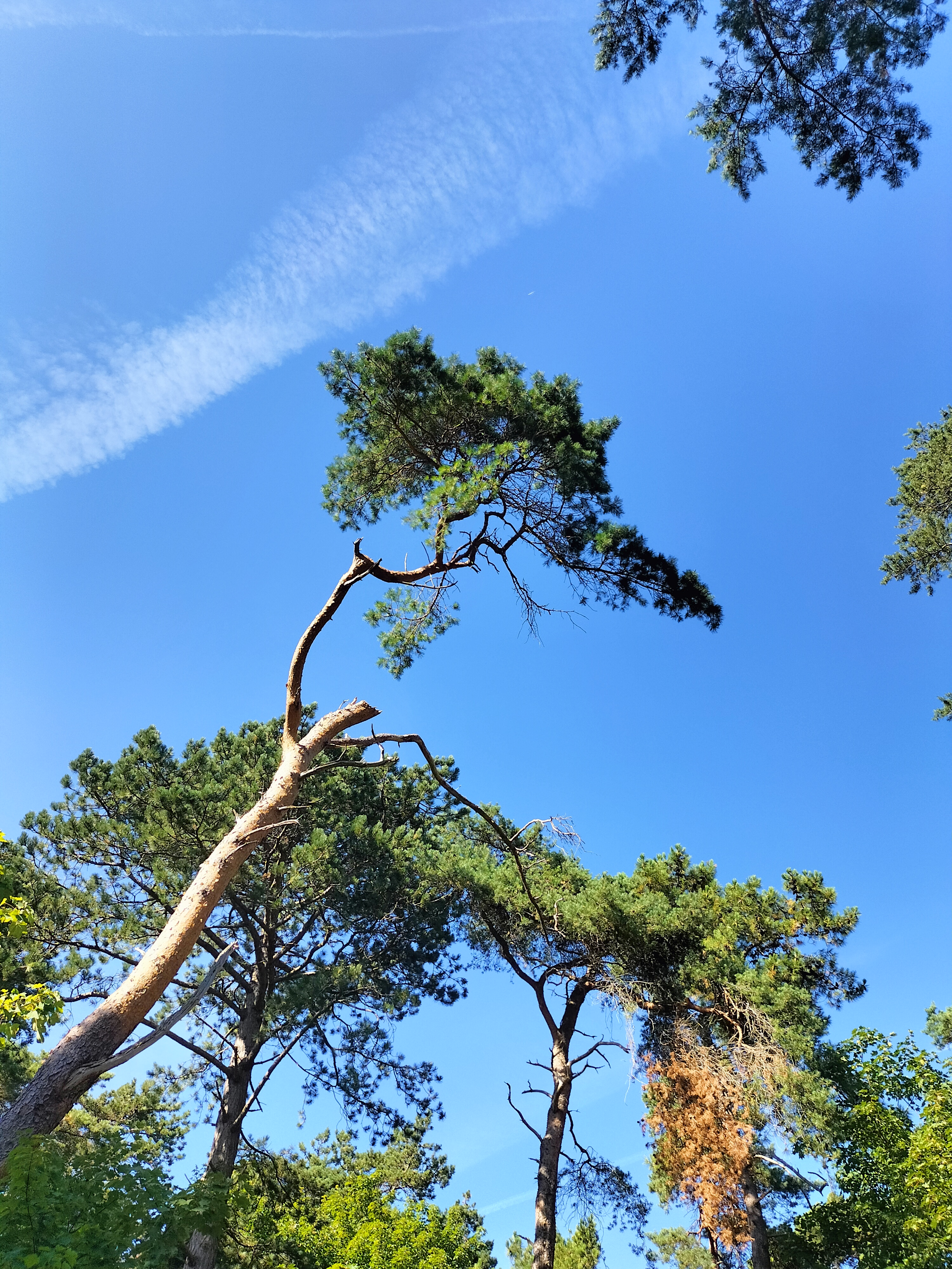 Photo n° 5 de l'avis de Magalie.u fait le 30/07/2022 à 06:08