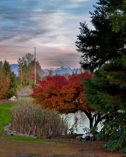 Plant Nursery «Pine Creek Nursery», reviews and photos, 23225 Sofie Rd, Monroe, WA 98272, USA