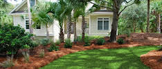 Charleston Plantworks LLC - Photo 2 - Car repair in , Charleston