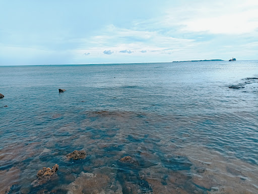 Top 20 cửa hàng akemi Huyện Lý Sơn Quảng Ngãi 2022