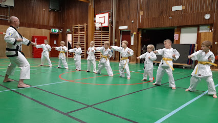 Åkersberga Tang Soo Do karateklubb