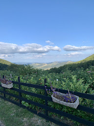 Photo n°10 de Crêperie 4 Vios à Marcols-les-Eaux ()