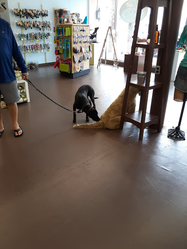 Pet Supply Store «3 Dogs and a Chick», reviews and photos, 130 Miracle Strip Pkwy SE, Fort Walton Beach, FL 32548, USA