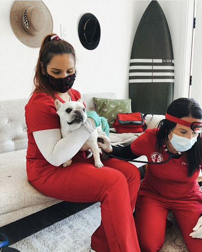 Elite Veterinary Care image