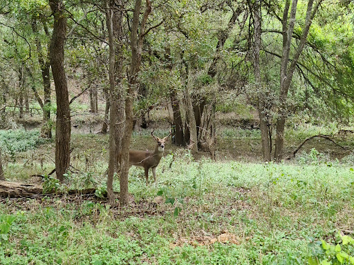 Park «Oakwell TrailHead Park», reviews and photos, 150 Ira Lee Rd, San Antonio, TX 78218, USA