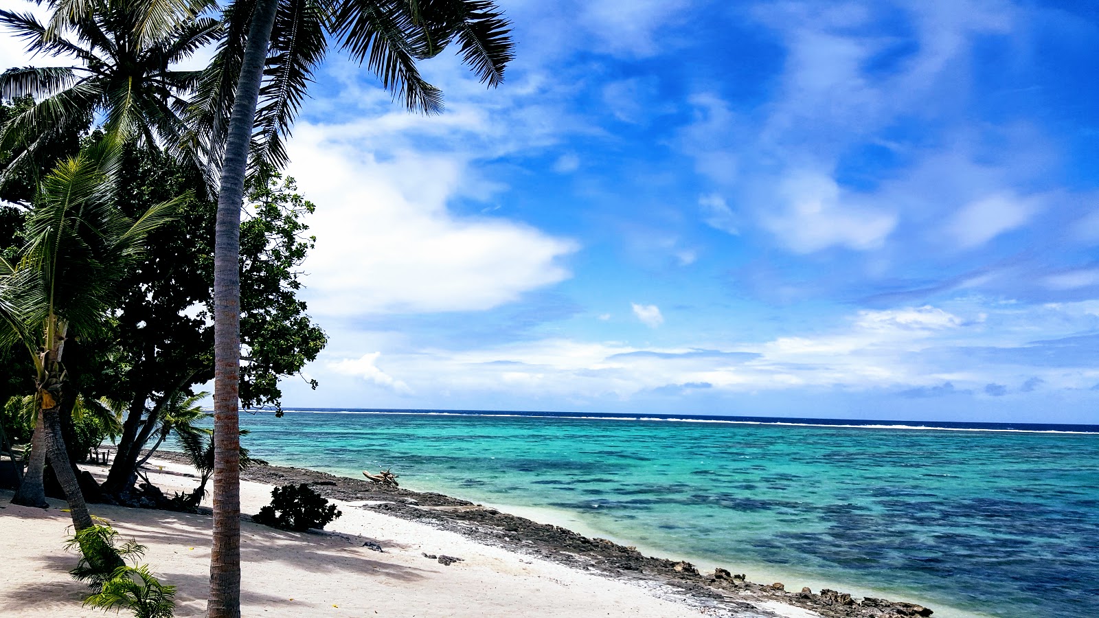 Photo of Maui Palms with very clean level of cleanliness