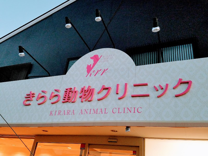 きらら動物クリニック 長野県佐久市岩村田 動物病院 グルコミ
