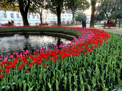 Jardim Marques de Oliveira