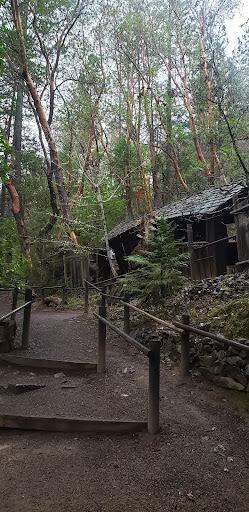 Tourist Attraction «Oregon Vortex», reviews and photos, 4303 Sardine Creek L Fork Rd, Gold Hill, OR 97525, USA