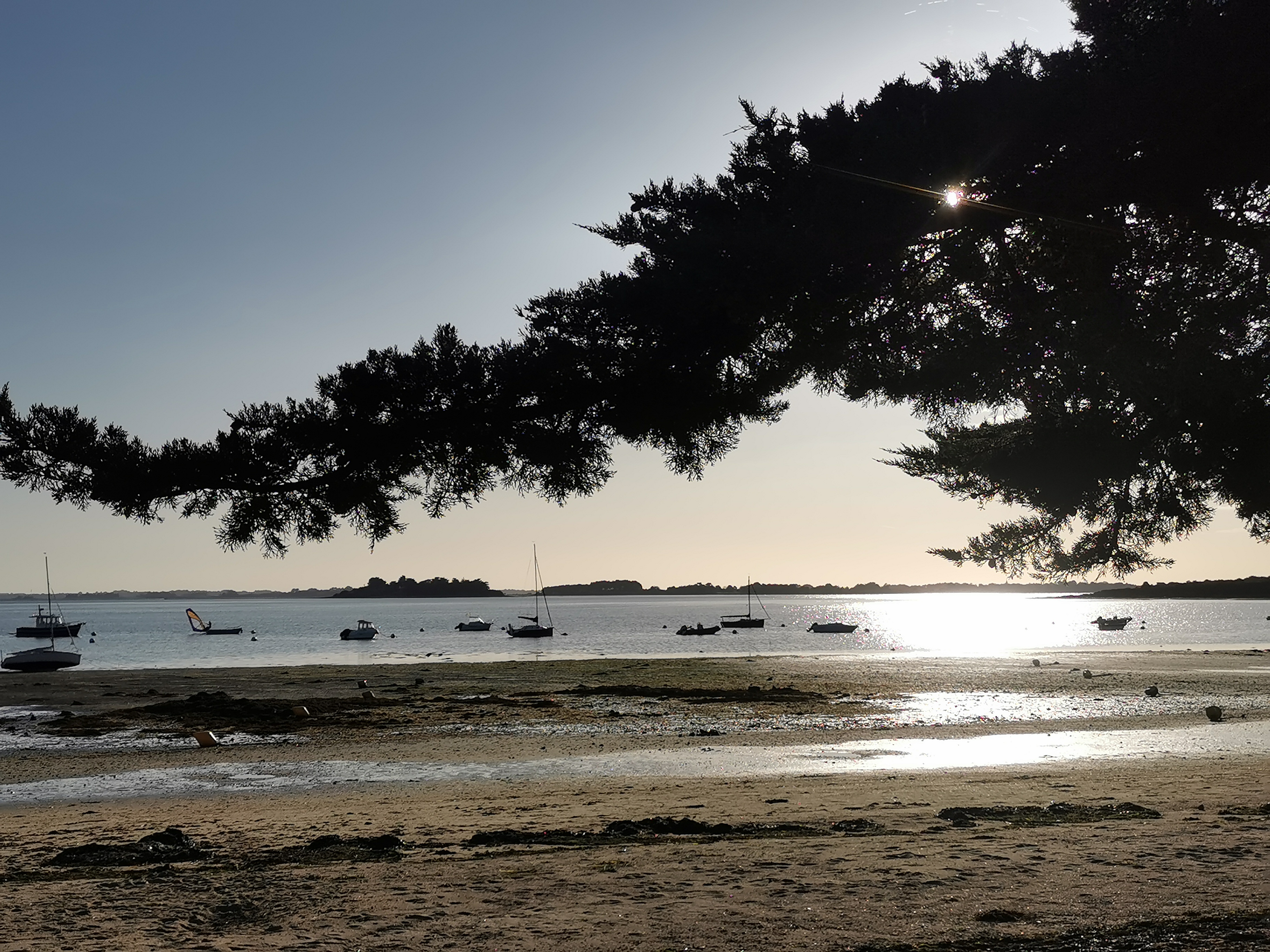 Photo n° 1 de l'avis de ANNE-LYSE.A fait le 03/10/2023 à 19:37