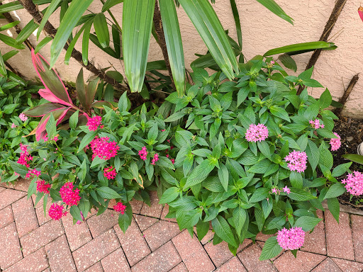 Tea House «Brambles English Tea Room», reviews and photos, 340 5th Ave S, Naples, FL 34102, USA