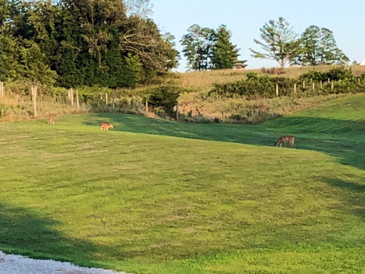 Public Golf Course «Longview Golf Course», reviews and photos, 3243 Frankfort Pike, Georgetown, KY 40324, USA