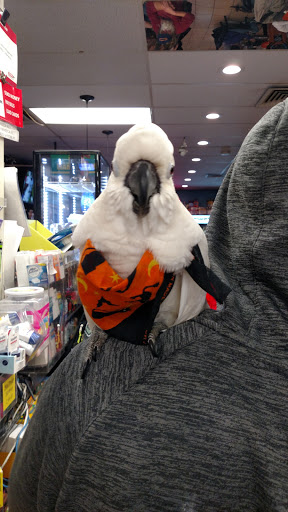 Lottery Retailer «Anthracite Newstand», reviews and photos, 1 E Market St, Wilkes-Barre, PA 18701, USA