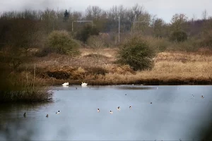 Lightshaw Meadows image