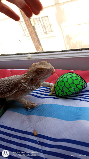 Grocery Store «Superior Grocers», reviews and photos, 1033 Long Beach Blvd, Long Beach, CA 90813, USA