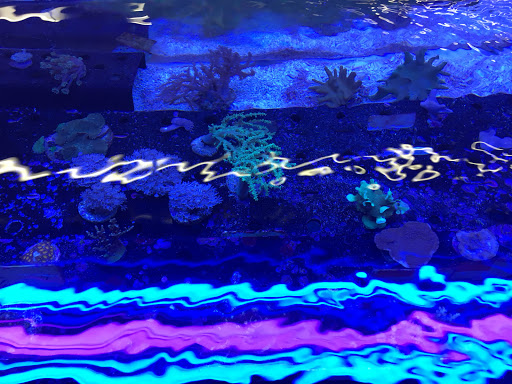 Pet Supply Store «Petco Animal Supplies», reviews and photos, 103 Commerce Way a, Woburn, MA 01801, USA