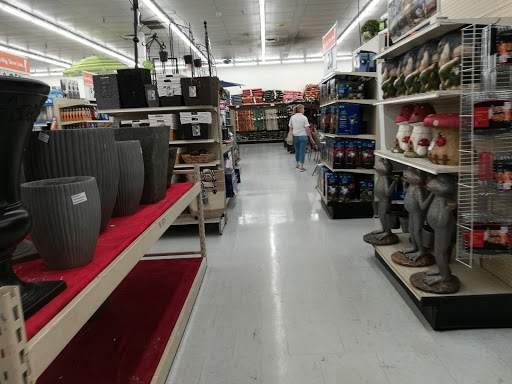 Discount Store «Big Lots», reviews and photos, 3830 S Nova Rd, Port Orange, FL 32127, USA