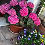 Photo n°1 de l'avis de Vitale. fait le 05/05/2024 à 09:45 sur le  Agriturismo Monte Cologna à Colle di Scandolaro