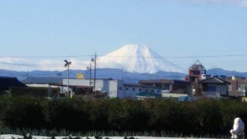 北中野スポーツ広場