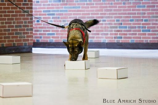 Pet Supply Store «Especially For Pets», reviews and photos, 1185 Chestnut St, Newton Upper Falls, MA 02464, USA