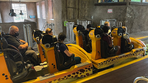 Roller Coaster «Cheetah Hunt», reviews and photos, 10165 N Malcolm McKinley Dr, Tampa, FL 33612, USA