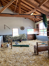 Photo n° 4 de l'avis de Pistel S fait le 05/07/2020
